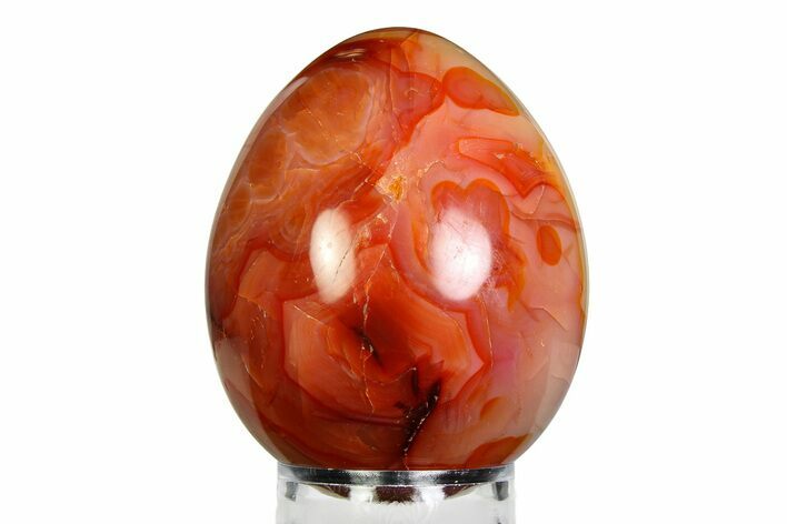 Vibrant Polished Carnelian Agate Egg - Madagascar #355479